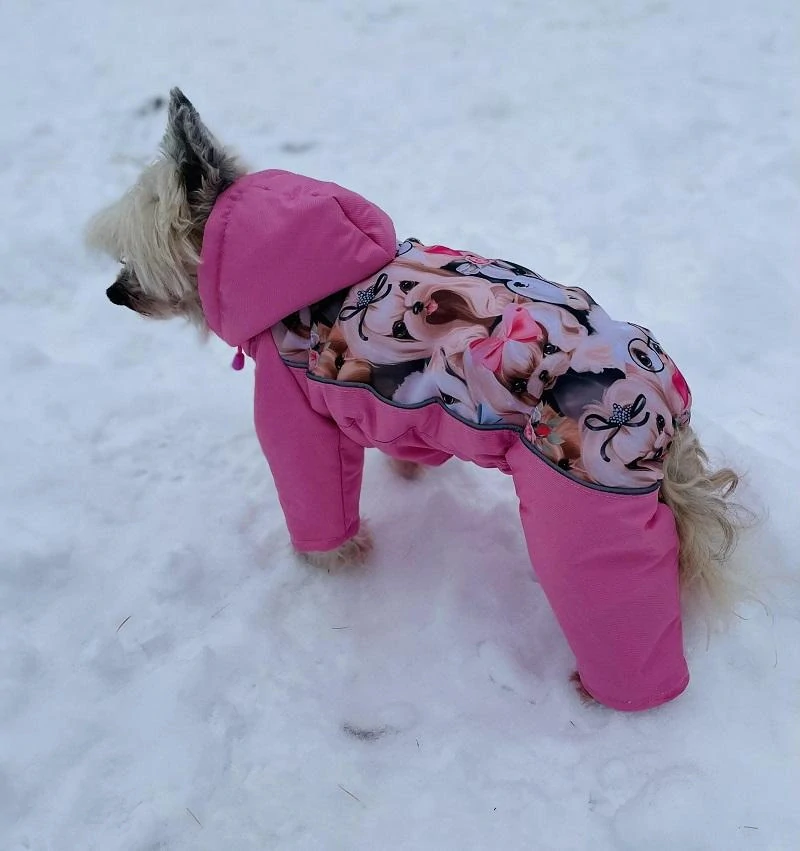 Růžová zimní kombineza pro fenky 25-29cm
