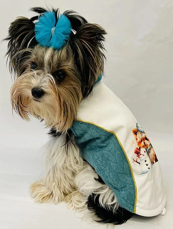 Zimní vesta pro psa jorkšír