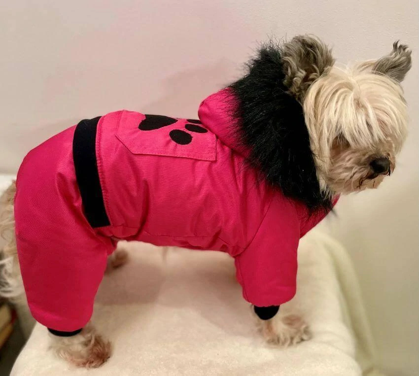 Barevná zimní kombineza pro psa 30-35cm růžová