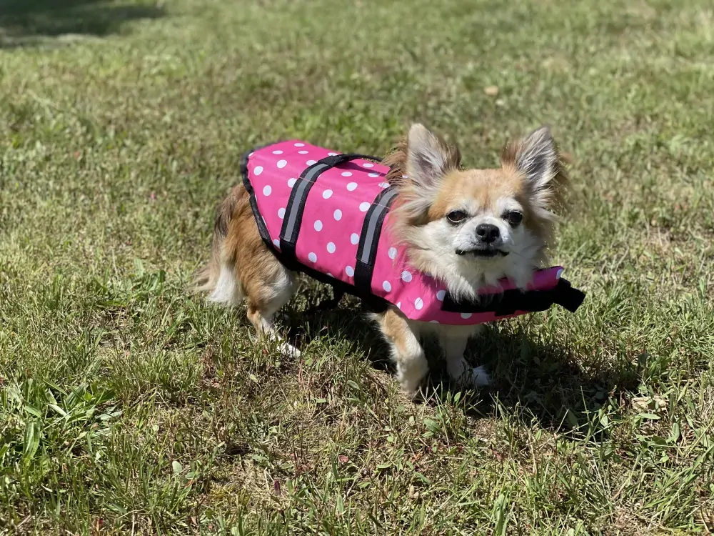 Plovací vesta pro psa růžová 