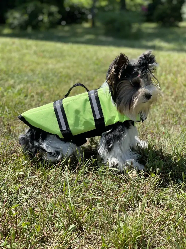 Plovací vesta pro psa zelená