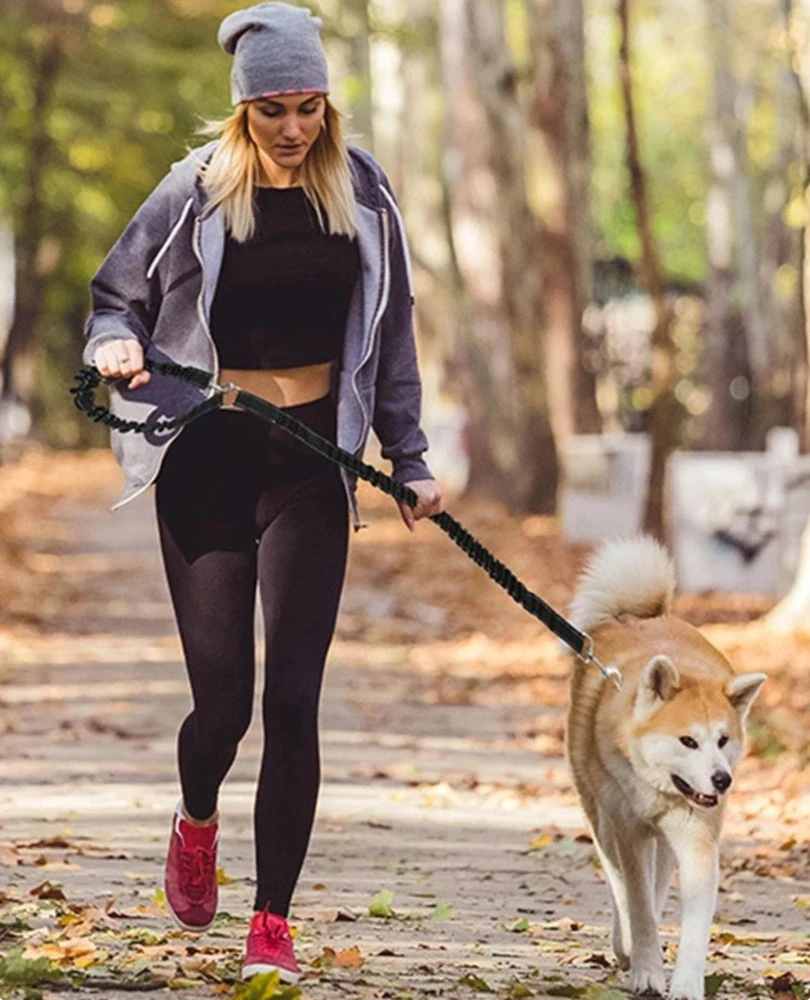 Pružná rozdvojka pro psy, tlumič tahu