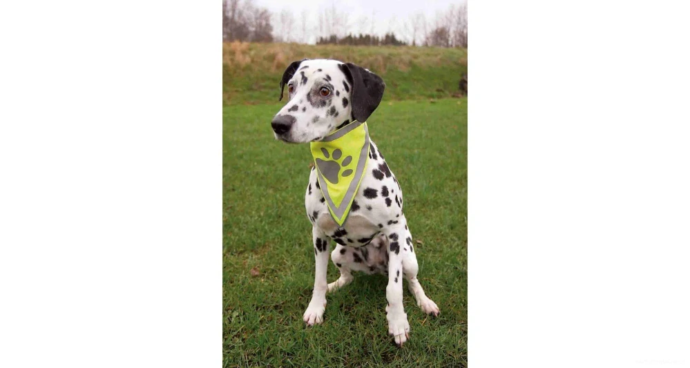 Reflexní šátek pro psa 29-42cm