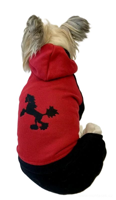 Teplákovka čínský chocholatý pes 30-35cm