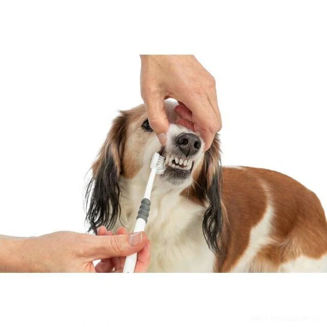 Tříhlavý zubní kartáček pro psy a kočky