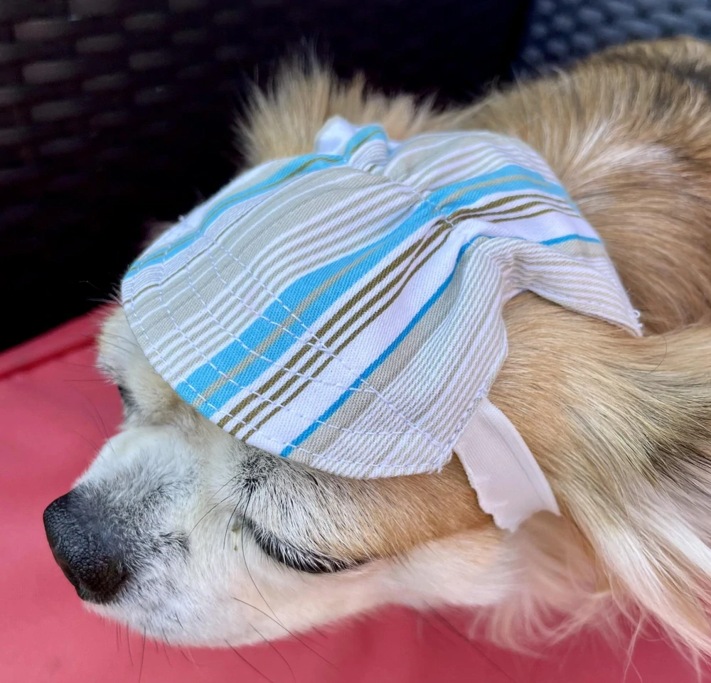 Kšiltovka pro psa proužek