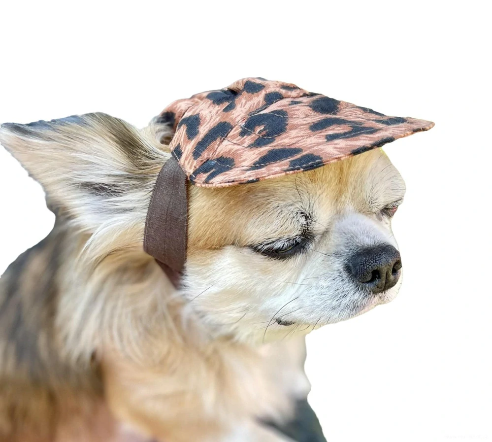 Kšiltovka pro psa hnědá