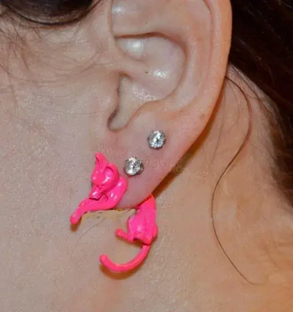 Růžové náušnice 3D šelma