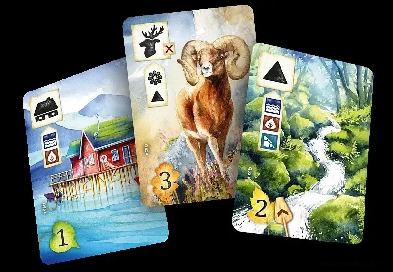 Na louce: Po proudu Půjčovna