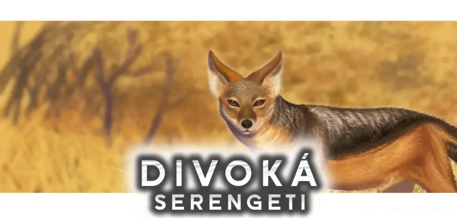 Divoká Serengeti Půjčovna