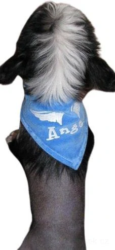 Šátek pro psa modrý 36-42cm