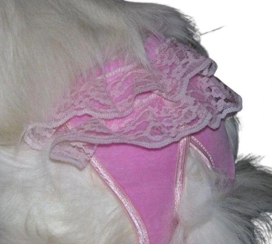 Kalhotky pro hárající fenky růžové s volánky