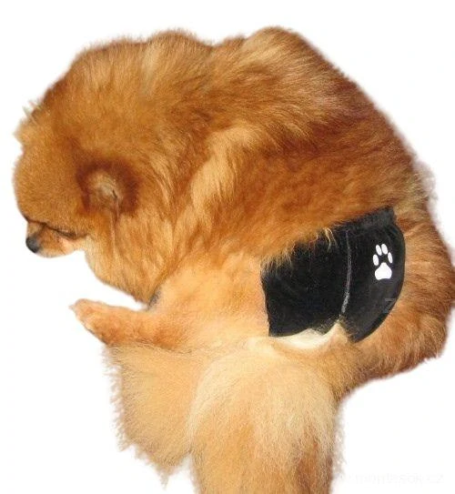 Kalhotky pro hárající fenky černé