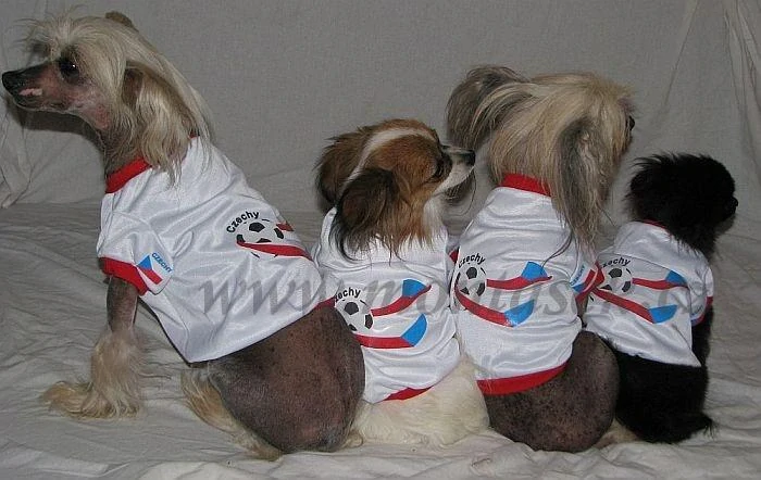 Dres pro malého psa fotbal 28-32cm
