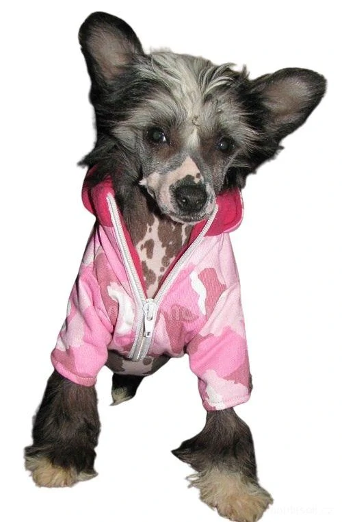 Bunda pro psa army růžová 25cm