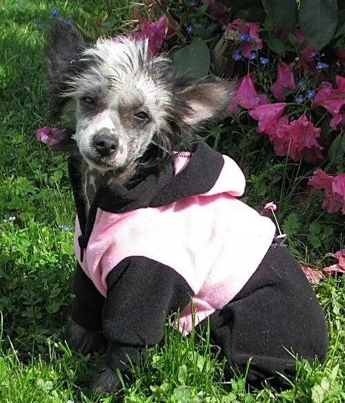 Kombineza pro psa fleece 35cm