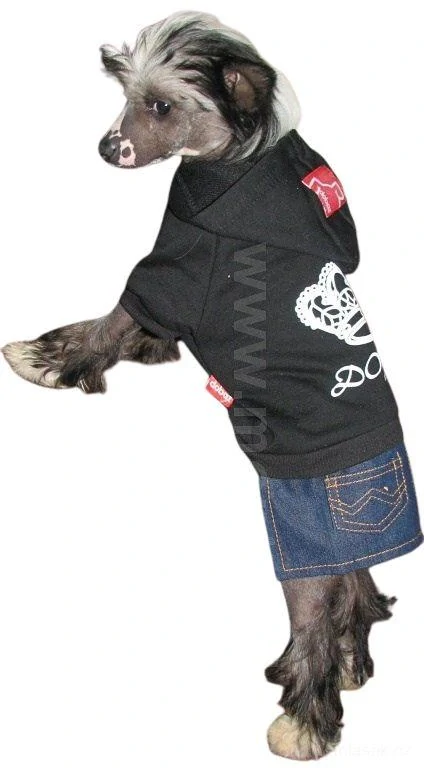 Šatičky pro fenky Dobaz 28cm