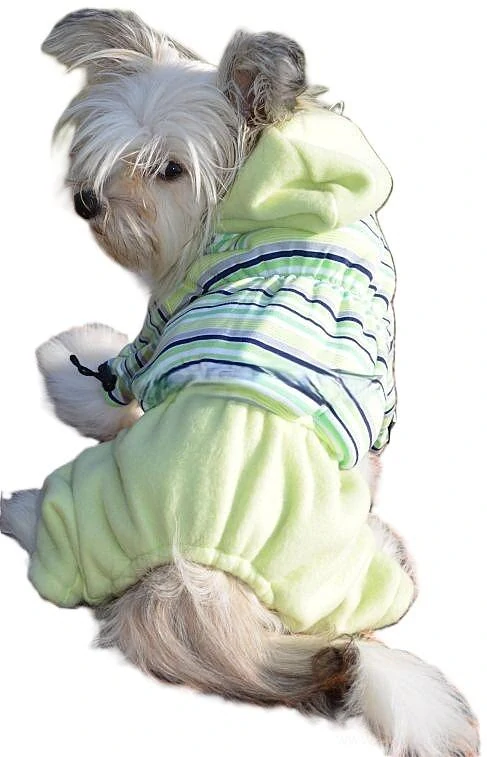 Zimní kombineza pro malého psa zelená 30cm