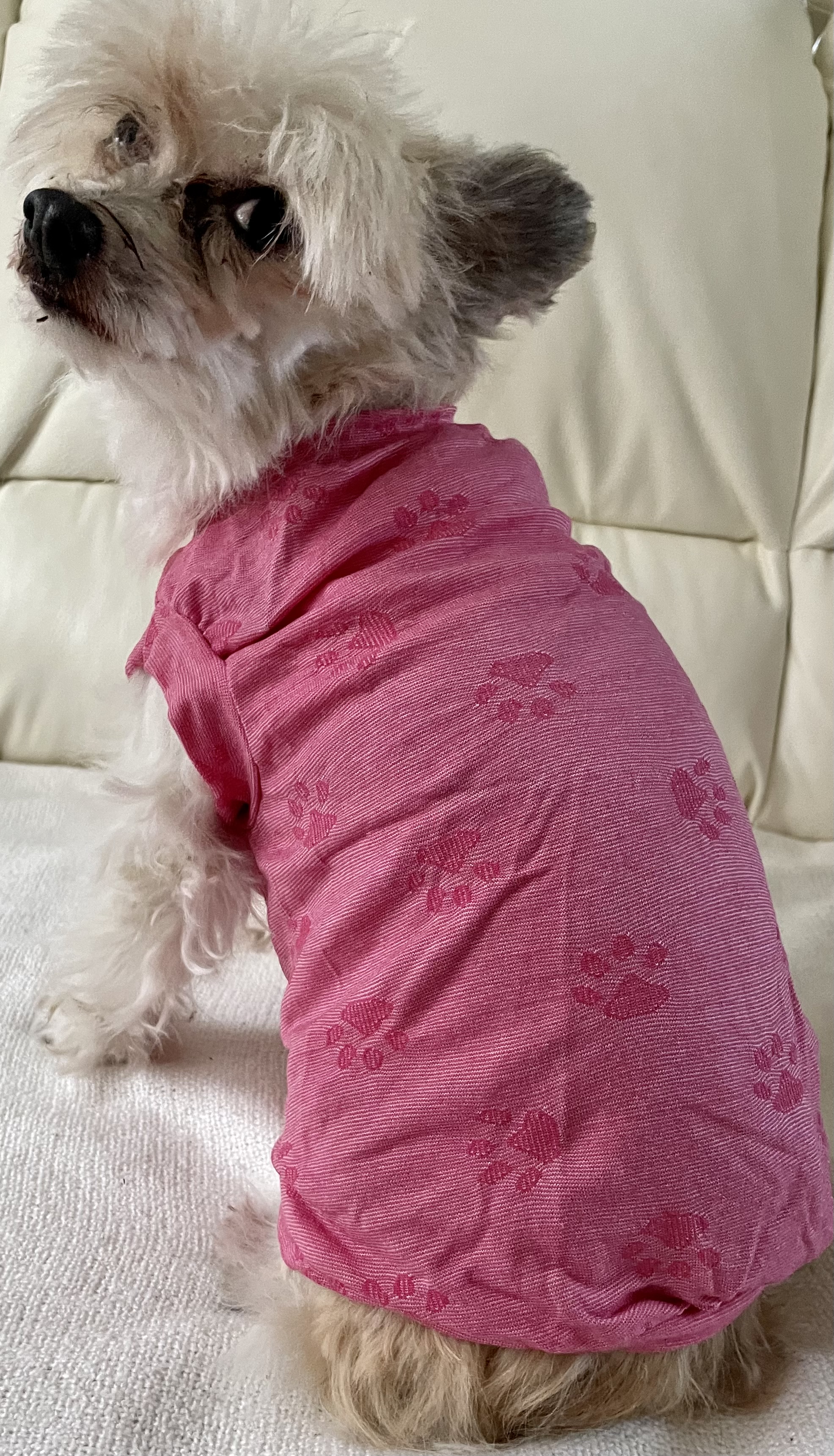 Tričko růžové pro psa tlapky 28-32cm