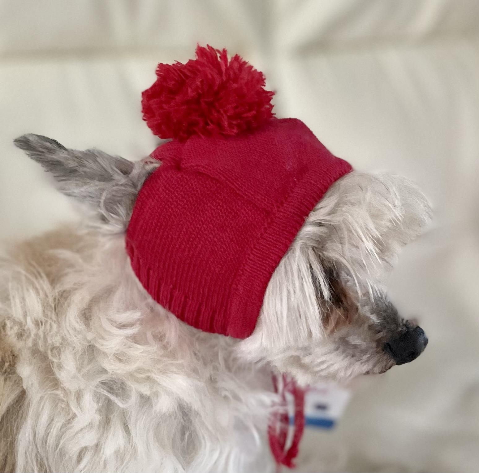 Růžová zimní čepice pro psa