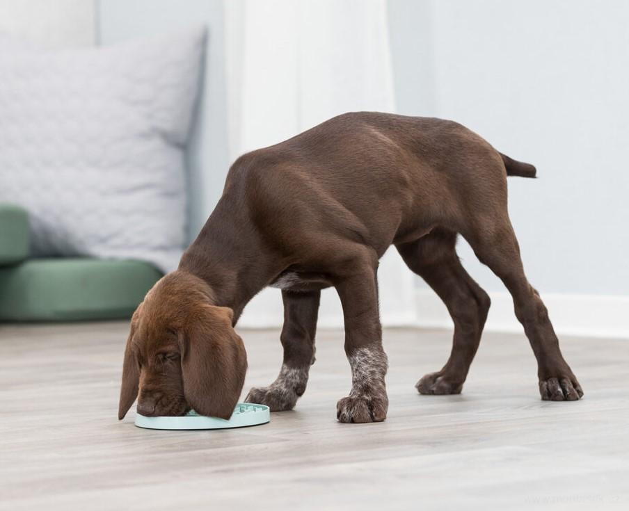 Lízací talířek pro štěně, malého psa 15cm