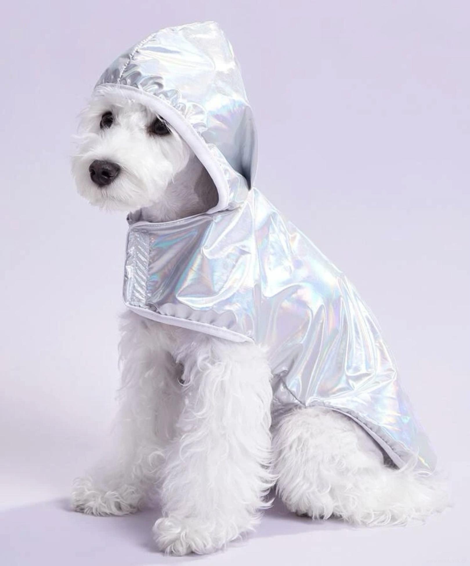 Pláštěnka, vesta pro psa stříbrná