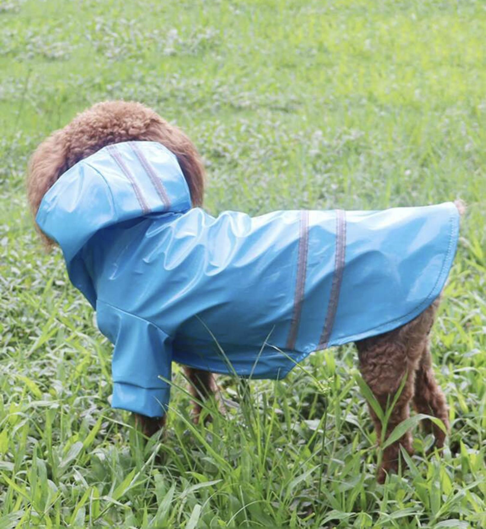 Modrá pláštěnka pro psa