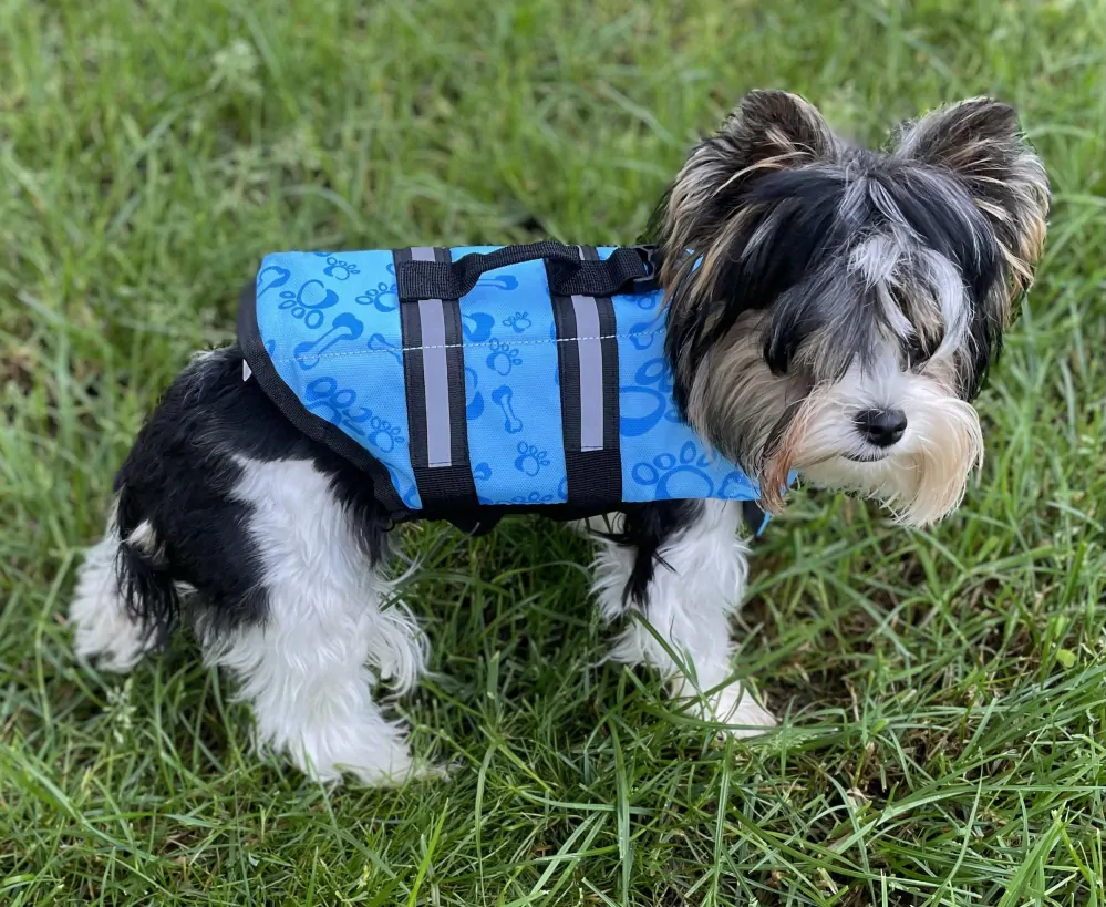 Plovací vesta pro psa 30cm