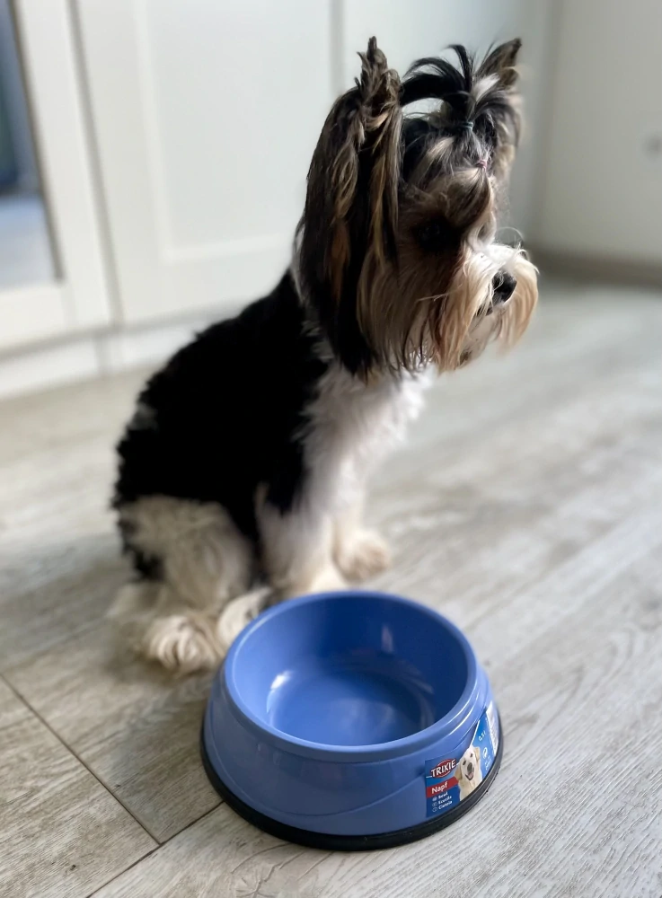 Plastová miska pro psa HEAVY s gumovým okrajem 0,5 l /ø 14 cm