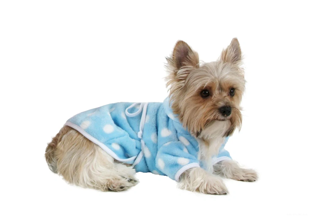 Župan pro psa puntík