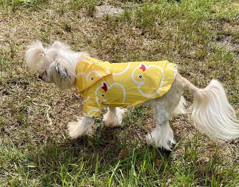 Žlutá bunda do deště pro štěně  20cm