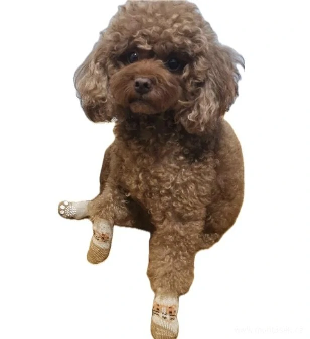 Béžové ponožky pro psy a kočky