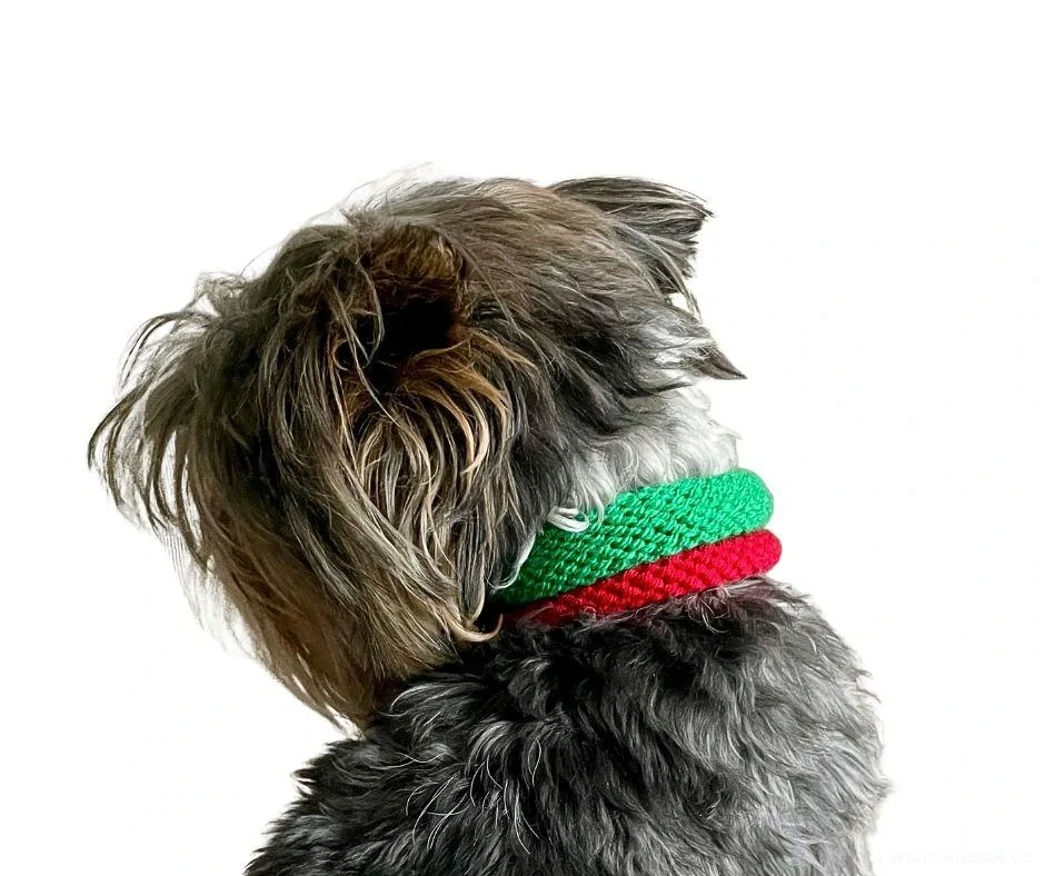 Ozdobný obojek červeno zelený