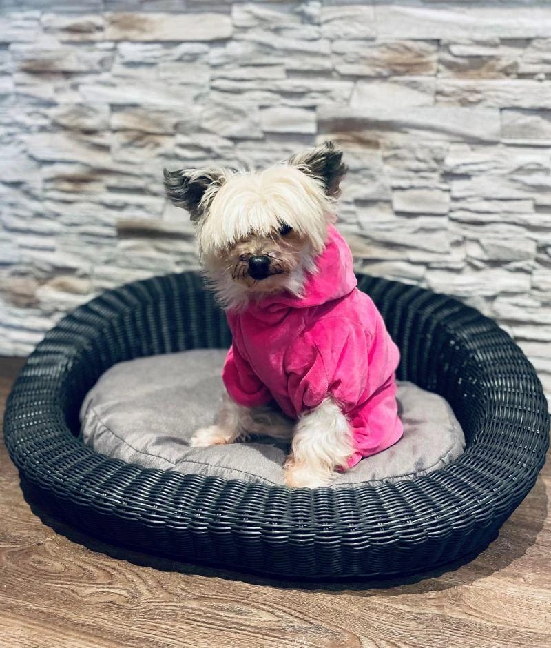 Pevný luxusní gauč pro psa 