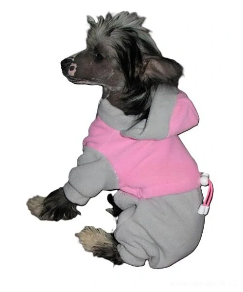 Kombineza pro psa fleece 35cm