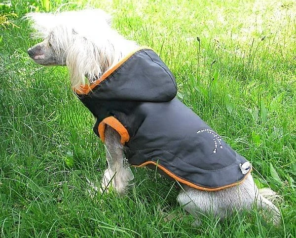 Vesta pro psa 40cm vel. 2L černo modrá