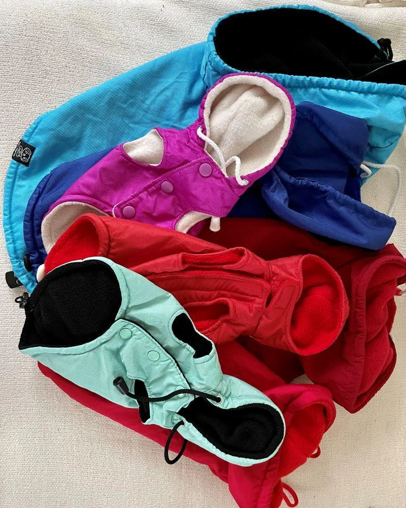 Vesta pro psa 24-29cm červená