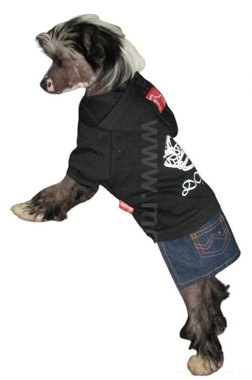 Šatičky pro fenky Dobaz 28cm