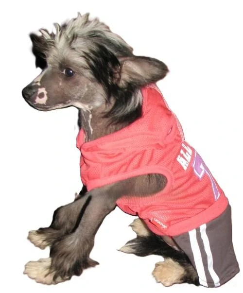 Psí šatičky, oblečky pro psy 23cm