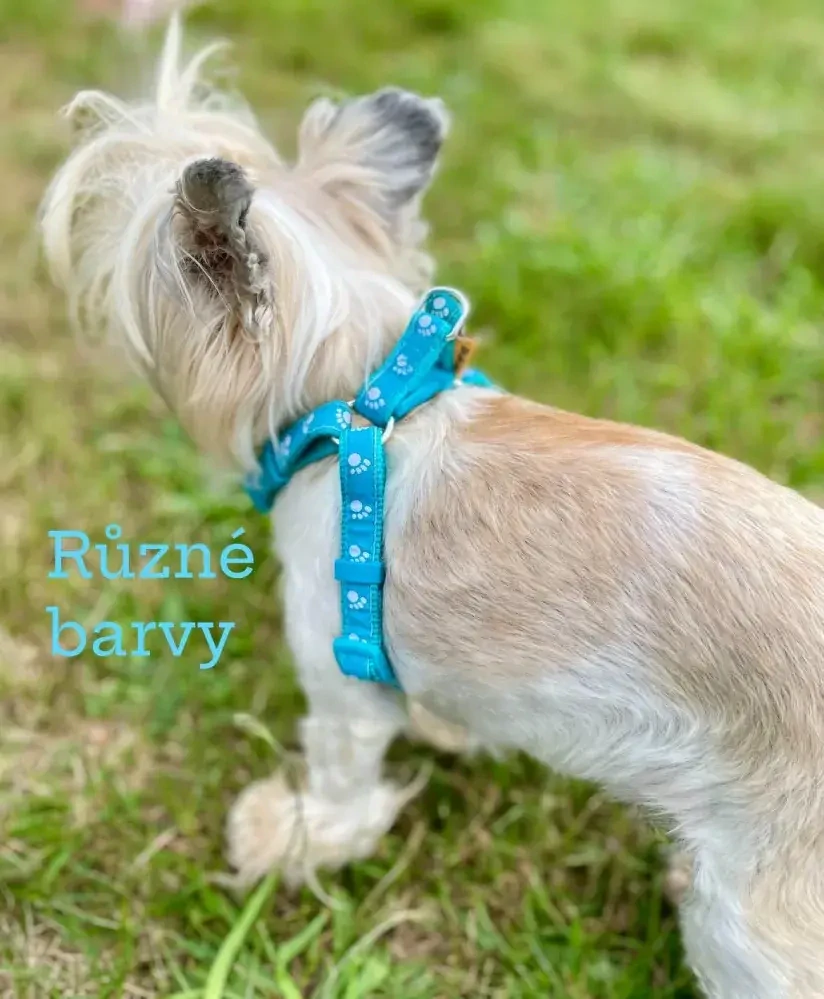 Postroj pro psa tlapky 15mm