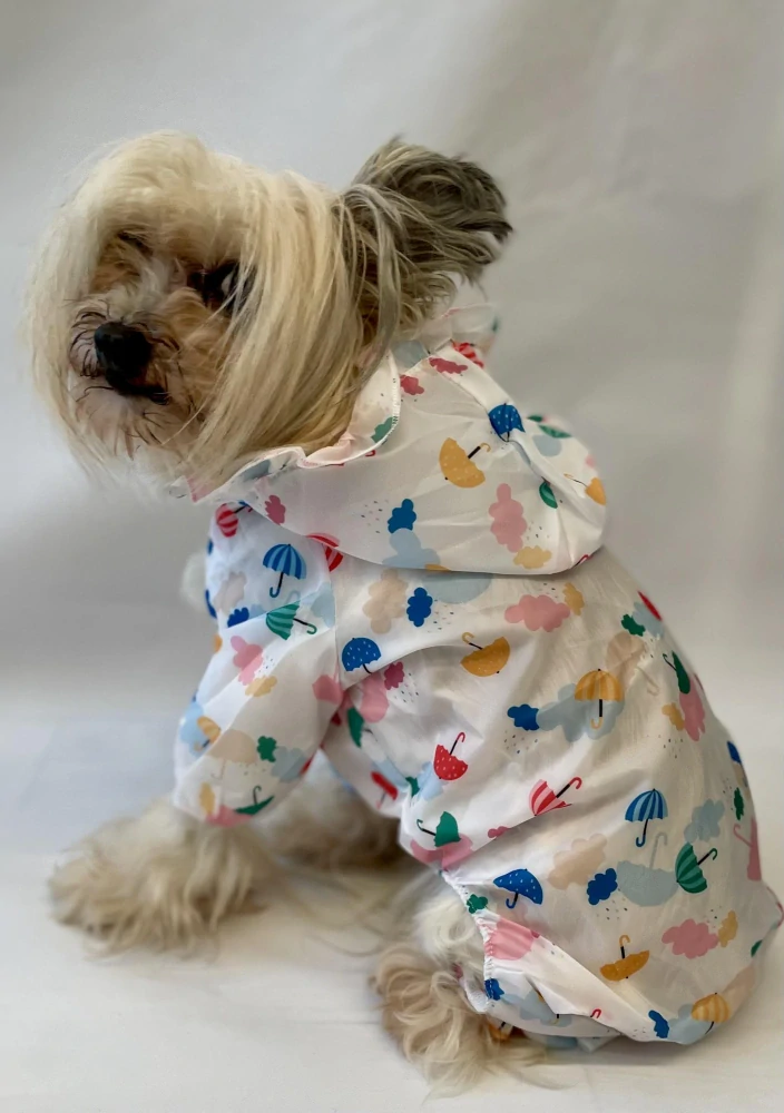 Pláštěnka pro psy, oblečky do deště pro psa