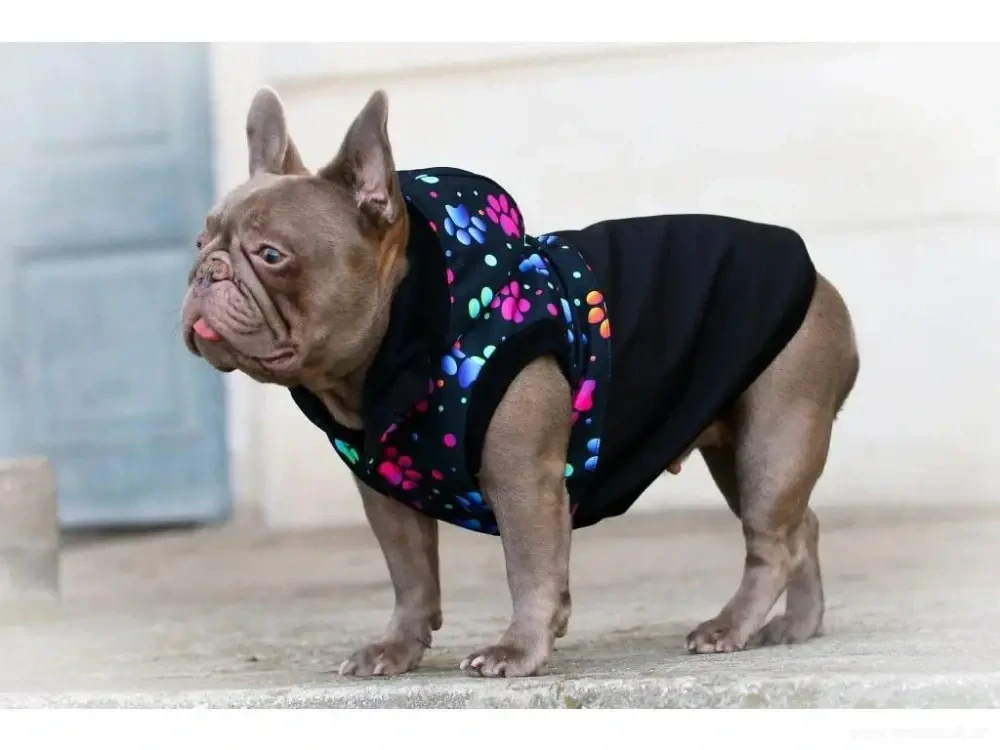 Zateplená softshellová bunda pro psa tlapky