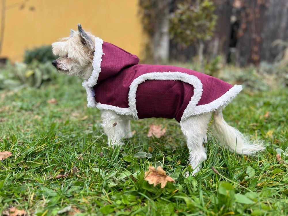 Zimní vesta pro fenky s kožíškem tyrkysová s tlapkou