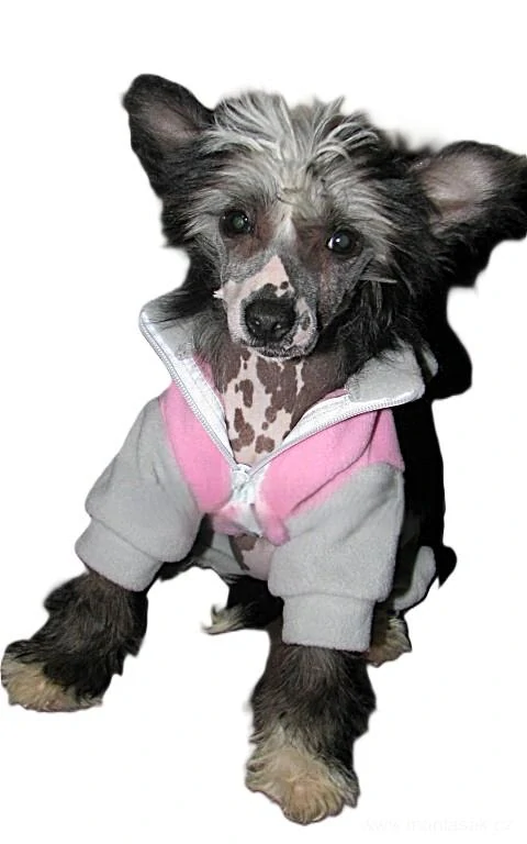 Kombineza pro psa fleece 35cm