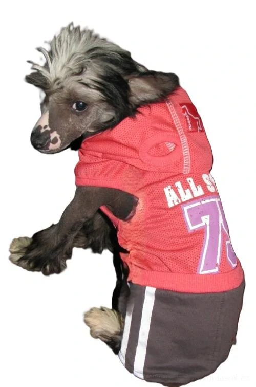 Psí šatičky, oblečky pro psy 23cm