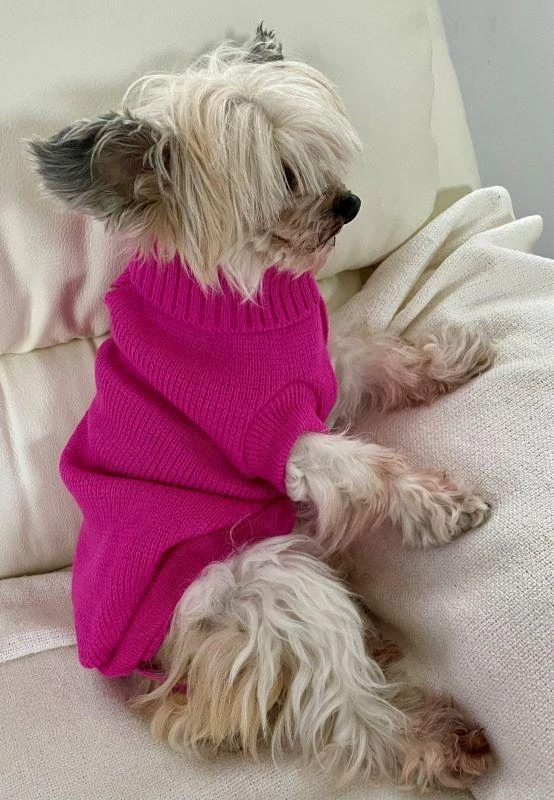 Svetr pro psa Valencia růžový