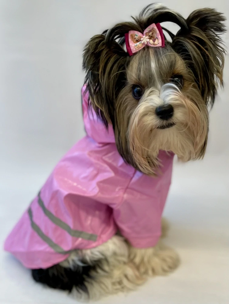 Růžová pláštěnka pro psa 27-33cm