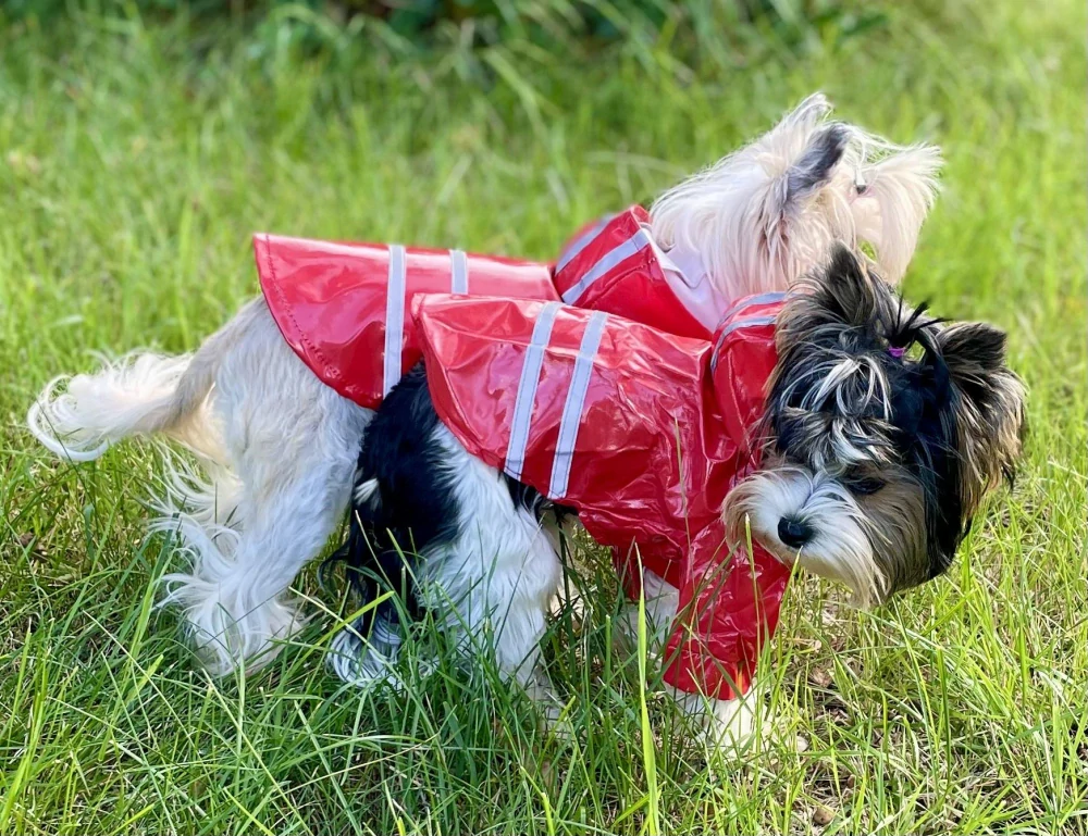 Červená pláštěnka pro psa