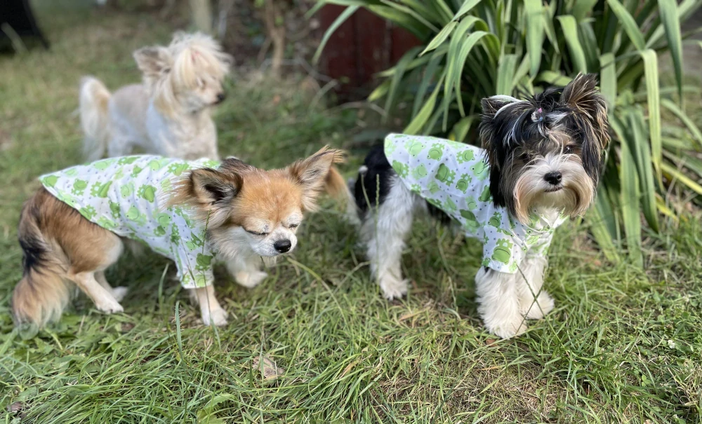 Pláštěnka pro psa 30cm