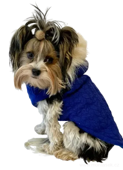 Zimní vesta pro psa s copánky 30-35cm